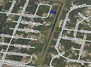 313 Tamarind Cir NW, Palm Bay, FL 32907