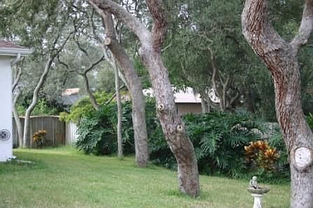 Landscaped Private Lot
