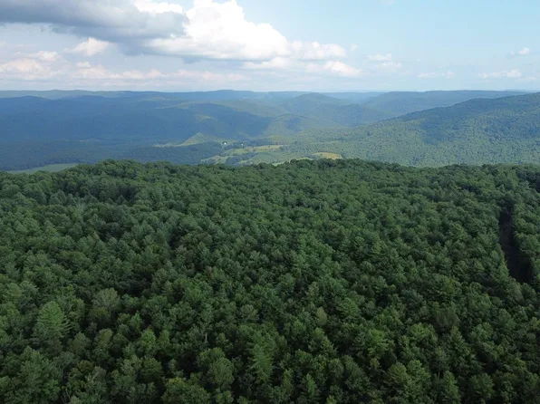 300 Droop Mountain Rd, Hillsboro, WV 24946