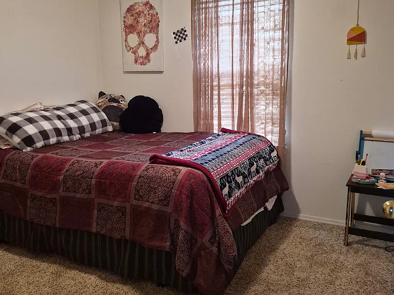 2627 S Canyon St — Photo 10