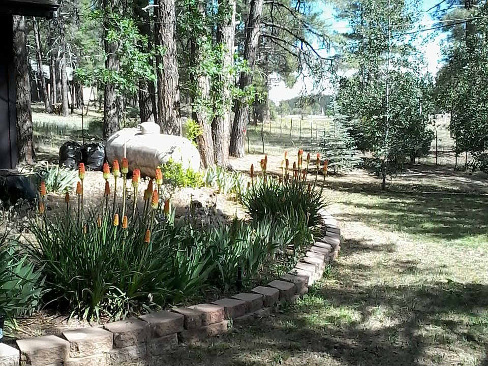 17550 S Munds Ranch Rd Munds Park AZ Zillow