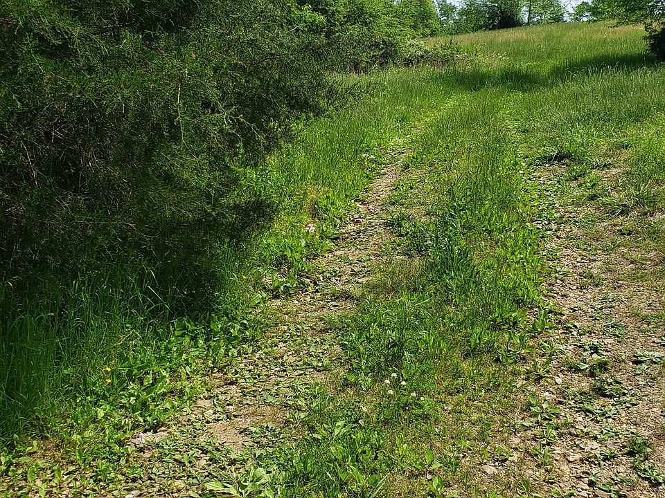 2nd image of 2079 Mines Rd