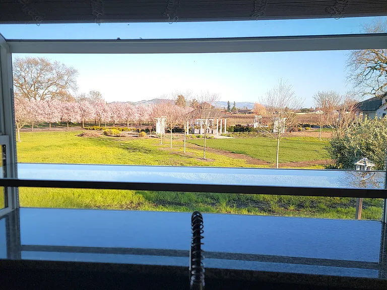 View from Kitchen window