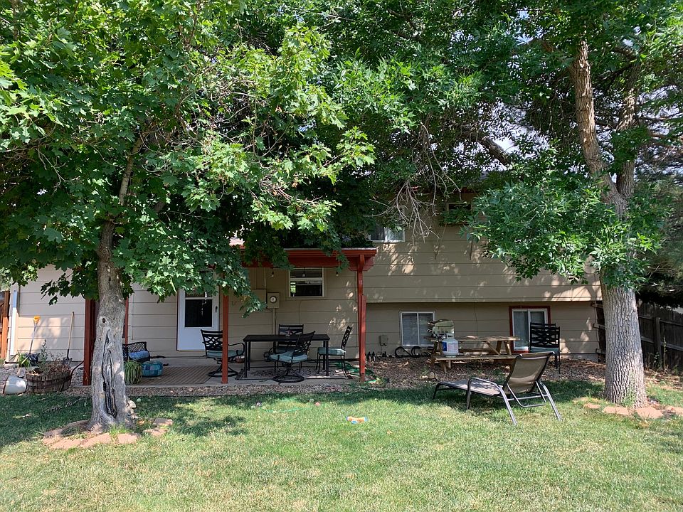 Backyard and patio