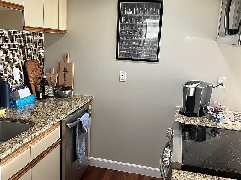 235 E River Dr #1007 — Photo 19
