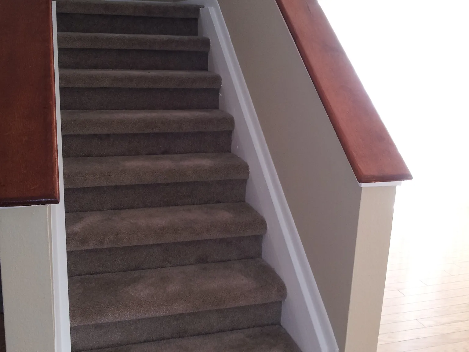 Beautiful Two Story Home in Temple Terrace! — Photo 3