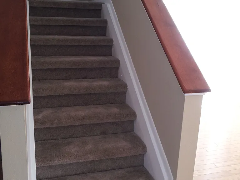 7507 Wakulla Dr — Photo 3