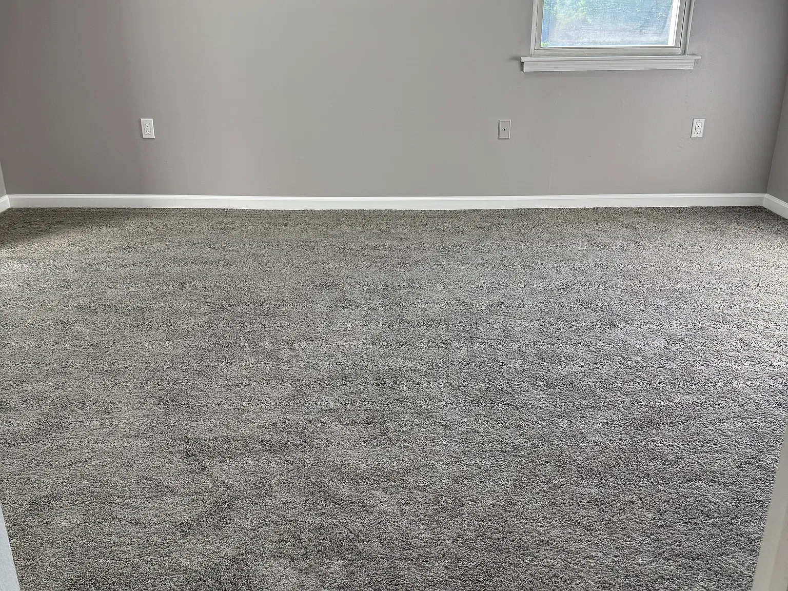 533 Leawood Ave — Photo 4