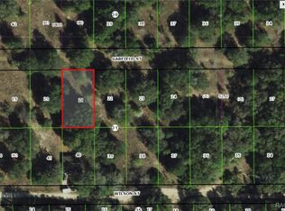 2305 Garfield St, Inverness, FL 34453