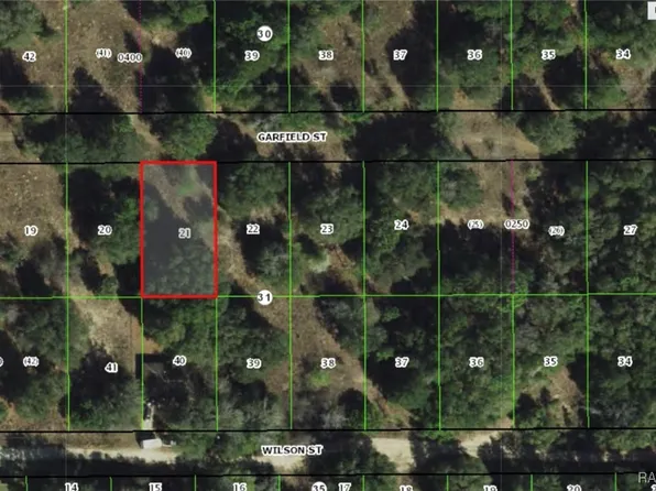 2305 Garfield St, Inverness, FL 34453