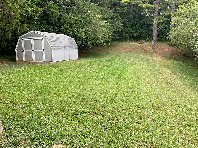 Very large back yard with shed