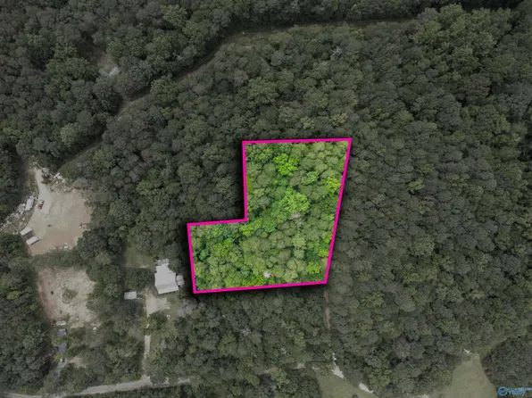 County Road 427, Fort Payne, AL 35967