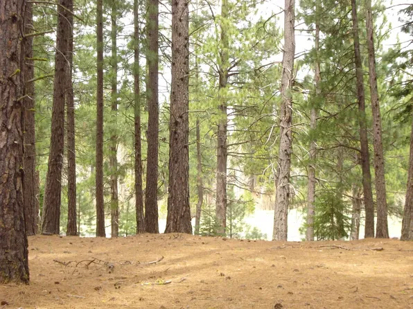 33 Blue Grouse Ln, Portola, CA 96122