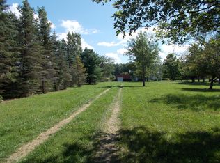 10546 Vfw Rd, Eaton Rapids, MI 48827