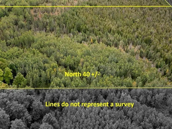 Off River Road North Rd #40, Perronville, MI 49873