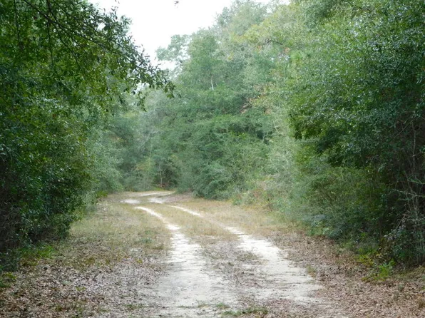 Wiggins Rd, Holt, FL 32564