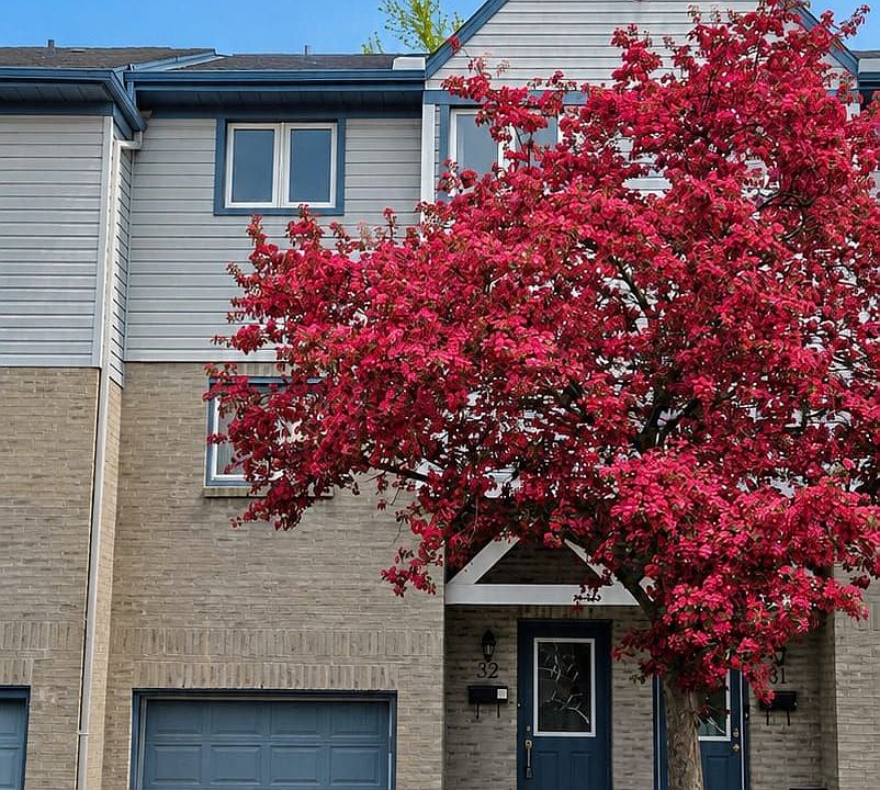 1st image of 589 Beechwood Dr N #32