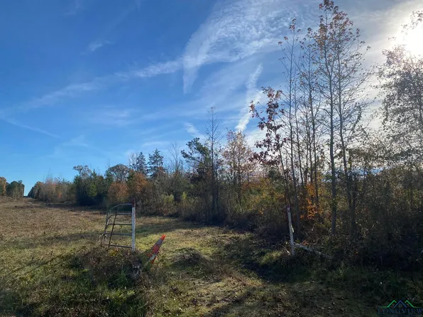 Cowpen Rd, Karnack, TX 75661