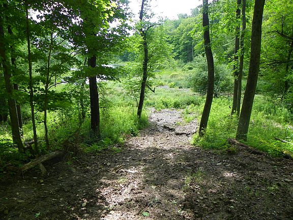 5th image of Crosstown Highway
