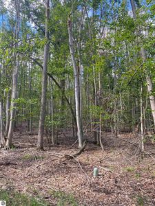 Lots 156 & 157 Hummingbird Ct Lot 156/57, Gaylord, MI, 49735