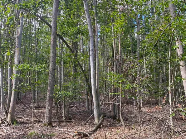 Lots 156 & 157 Hummingbird Ct Lot 156/57, Gaylord, MI 49735