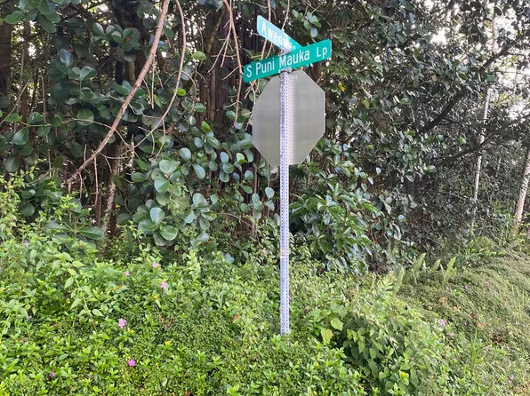 Puni Mauka Loop N Lot 252, Pahoa, HI 96778