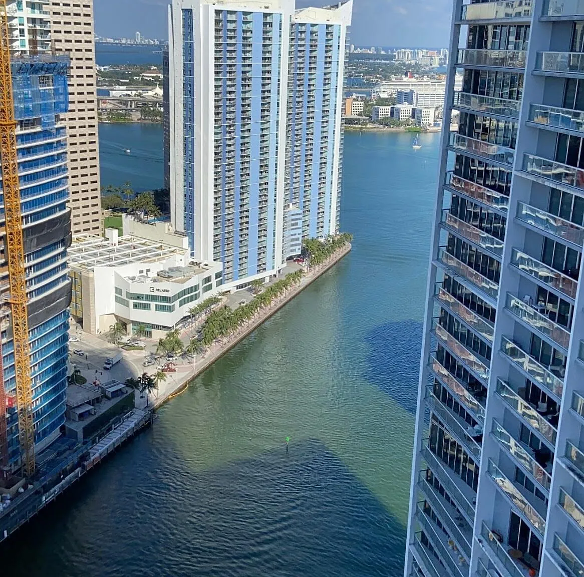 2 bed, 2.0 bath, 1168 sqft, $4,800 — Photo 1