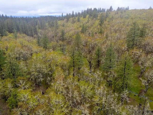 549 Fisher Hill Rd, Lyle, WA 98635