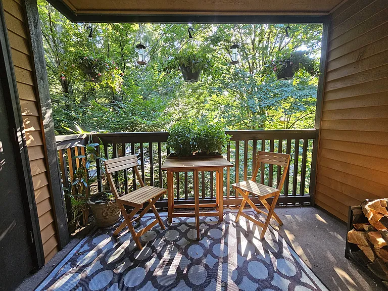 Forest Creek — Photo 16