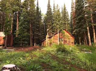 157 County Road 113s, Allenspark, CO 80510