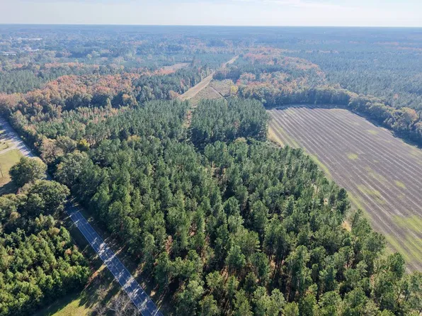 Binnicker Bridge Rd, Bamberg, SC 29003
