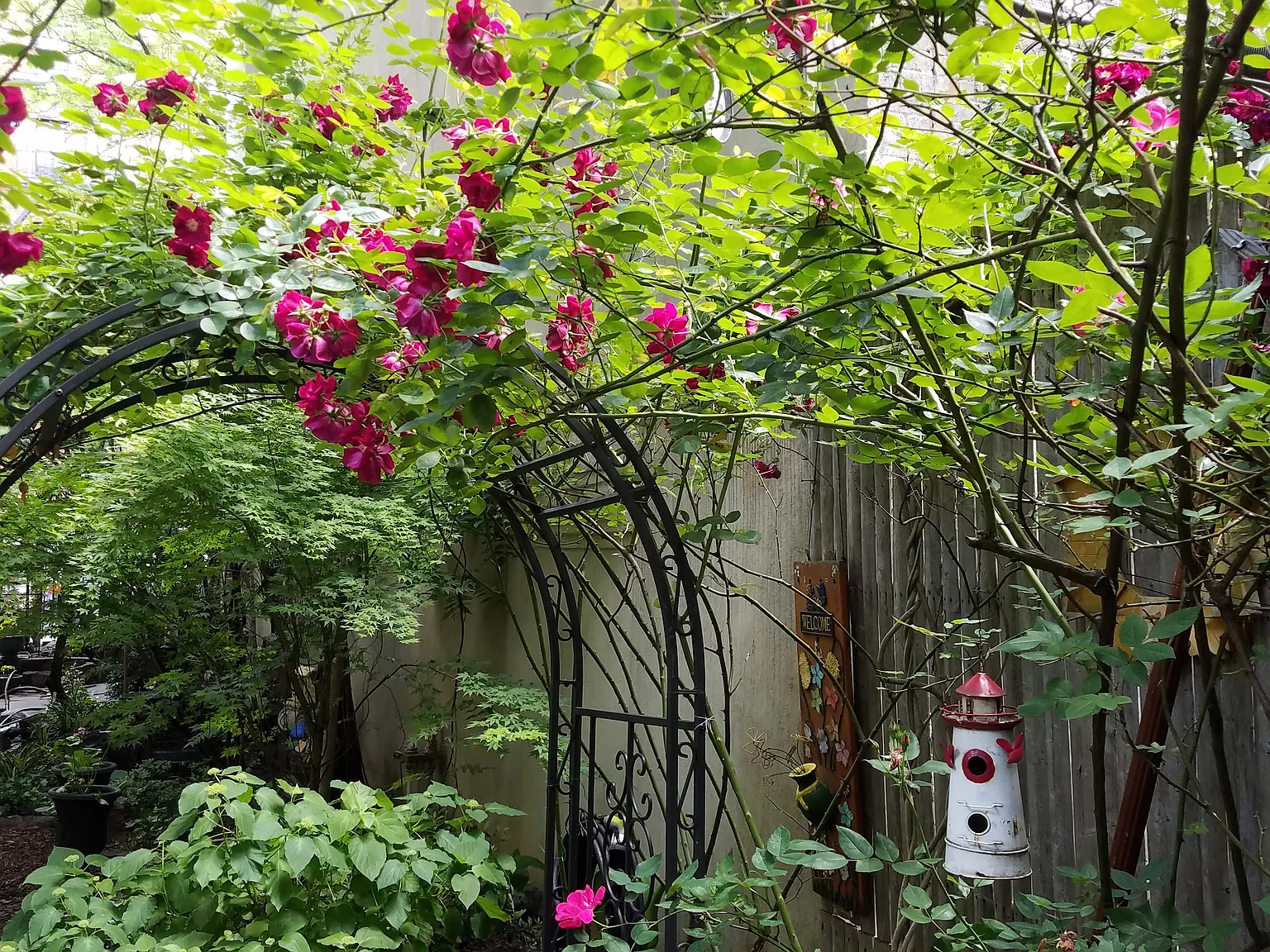 531 East 6th Street — Photo 1