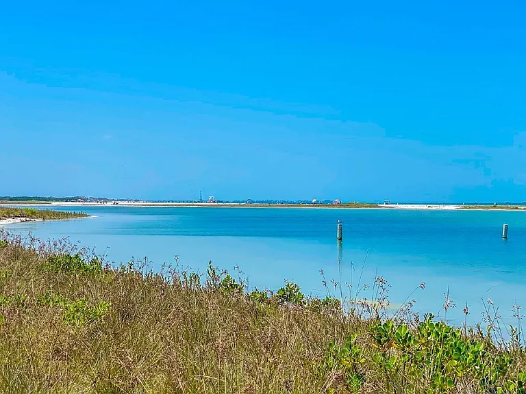 1593 Pinellas Bayway S #1 — Photo 52