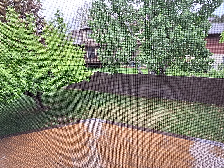 View of back yard from upstairs bedroom. There is an apple tree.