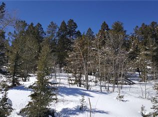 2925 Redhill Rd, Fairplay, CO 80440