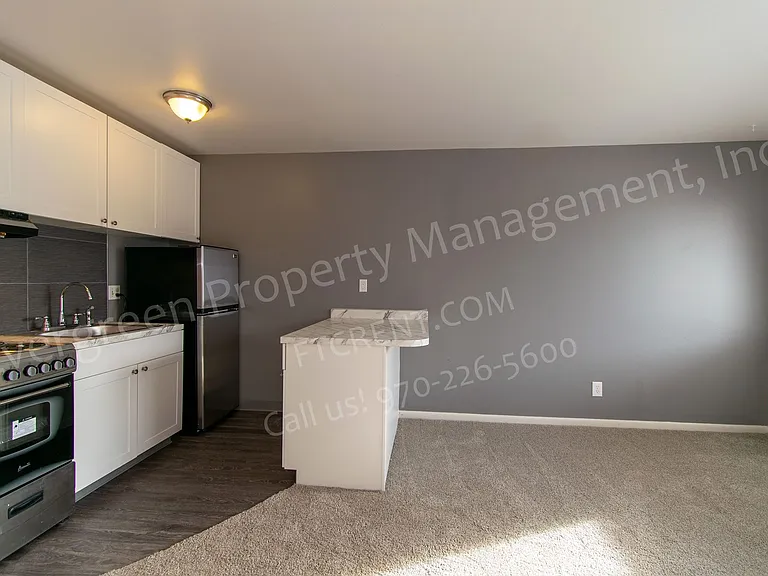 500 W Laporte Ave — Photo 75