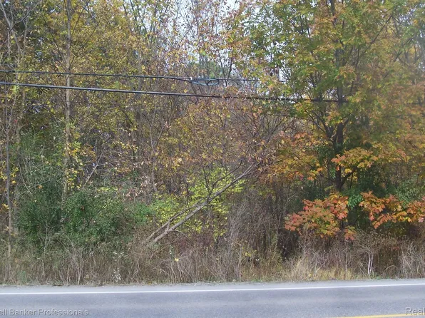 0 Davison Rd, Lapeer, MI 48446