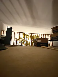 Rented by MOTION New York