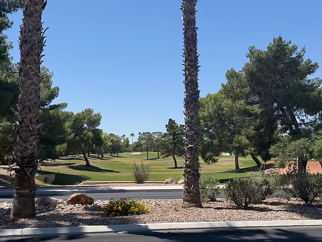 9028 Starmount Dr — Photo 22