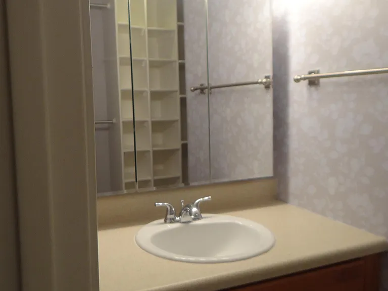 Primary bath sink and vanity area