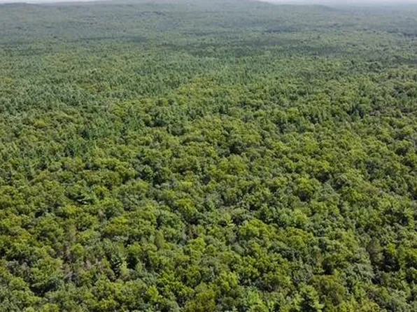 S Skocelas Rd, Manistee, MI 49660