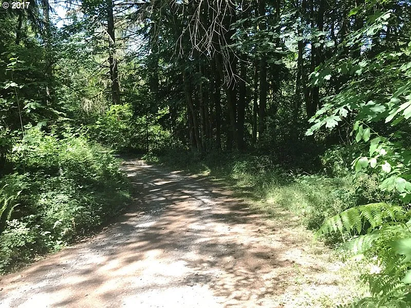 21 Walker Ln photo 1