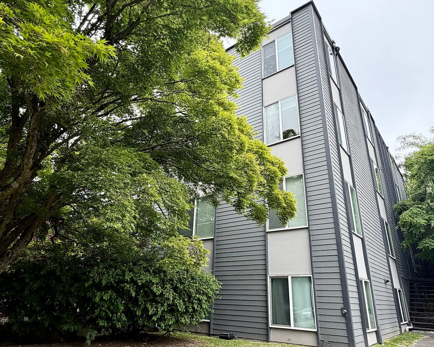 The Hallmark Apartments — Photo 4