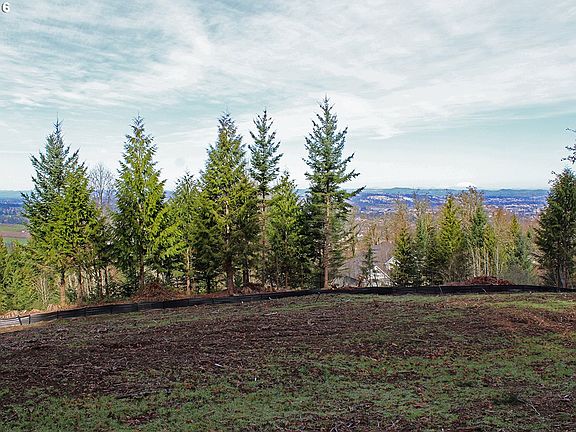 2nd image of 18326 SW Salmonberry Dr