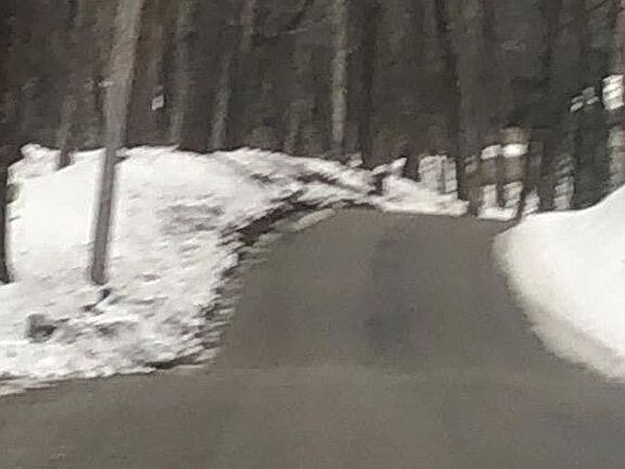 4th image of 1355 Observatory Rd