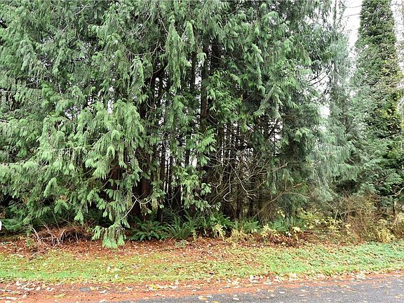 5th image of 43852 SE 150th St