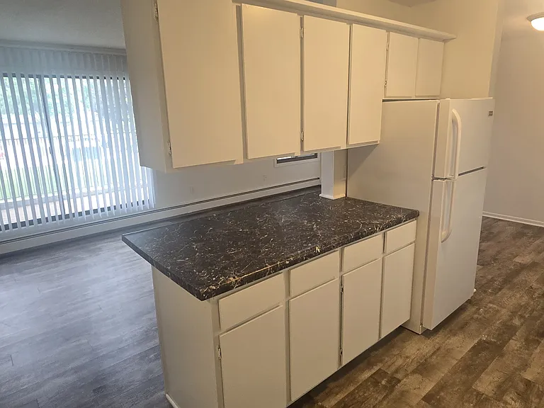 4110 Rahn Rd #119A — Photo 4