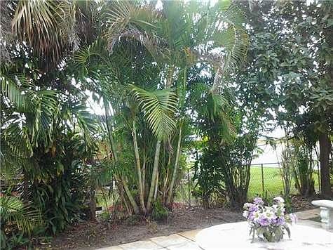 2nd image of 7010 Pine Tree Ln