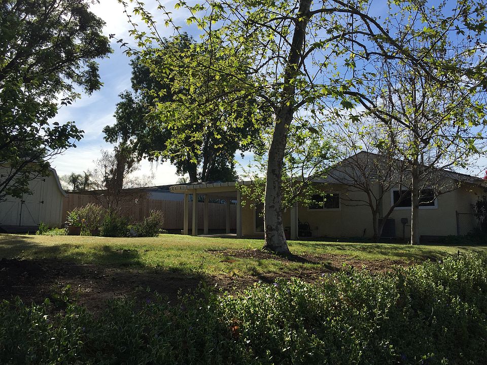 Backyard-1808 Calle Sinaloa
