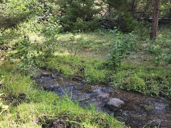 20 Nevada Creek Ranch Rd, Helmville, MT 59843